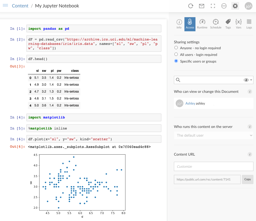 A screen capture of the notebook that was
published to RStudio Connect
