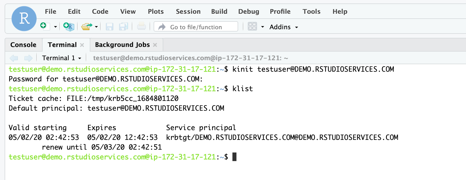Example of kinit command running in RStudio Workbench Terminal